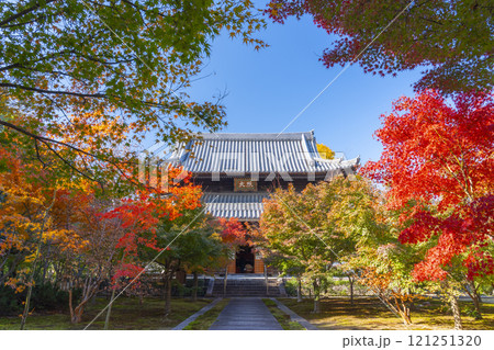 秋の京都　西陣興聖寺　紅葉に包まれた本堂 121251320
