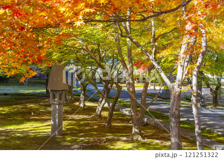 秋の京都 西陣興聖寺 紅葉に包まれた庭園 秋の京都 西陣興聖寺 紅葉に包まれた庭園 121251322