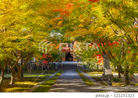 秋の京都　西陣興聖寺　紅葉に包まれた本堂 121251323