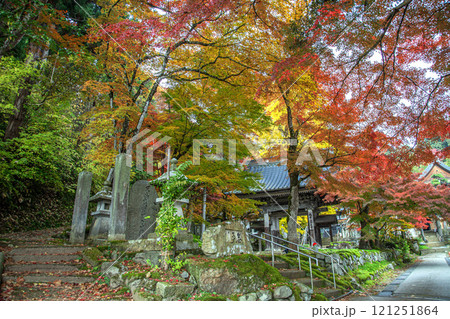 秋の珍蔵寺 秋の珍蔵寺 121251864