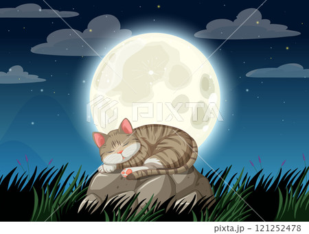 Cat Sleeping Under the Full Moon 121252478