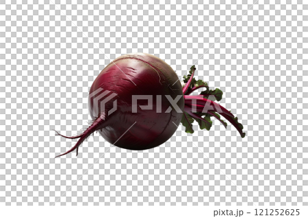red beet root on isolate red beet root on isolate 121252625