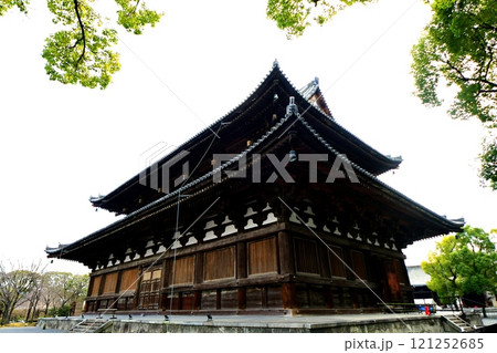 京都府　東寺・金堂（国宝） 京都市 南区 九条町　2022年2月 121252685