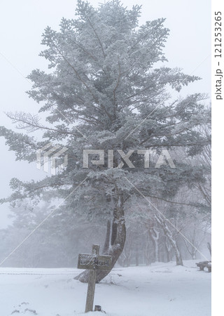 冬の景色 霧氷 冬の景色 霧氷 121253265