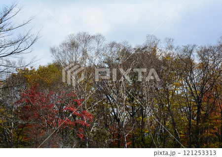 八方ヶ原 2024-11-4 #87 八方ヶ原 2024-11-4 #87 121253313