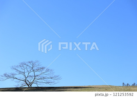 冬の展望公園 冬の展望公園 121253592