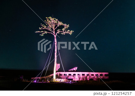 岩手三陸　ライトアップされた奇跡の一本松 121254257