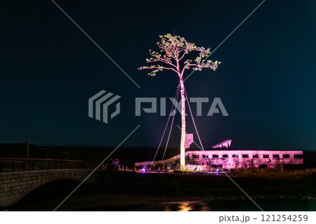 岩手三陸　ライトアップされた奇跡の一本松 121254259