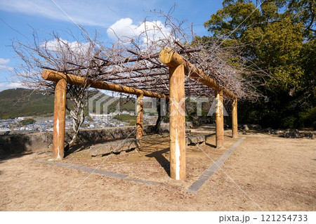 和歌山県新宮市_新宮城跡11_2024年2月 和歌山県新宮市_新宮城跡11_2024年2月 121254733