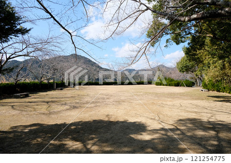 和歌山県新宮市_丹鶴城公園1(新宮城跡)_2024年2月 121254775