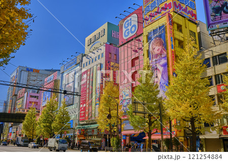 秋葉原　電気街 121254884