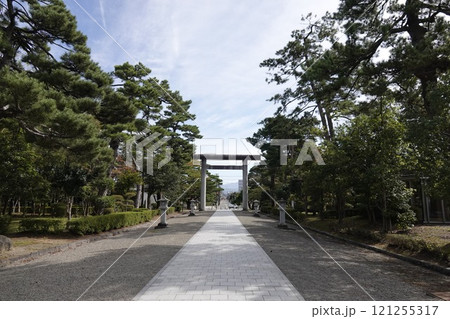 荘内神社 社殿から見た参道と一の鳥居 荘内神社 社殿から見た参道と一の鳥居 121255317