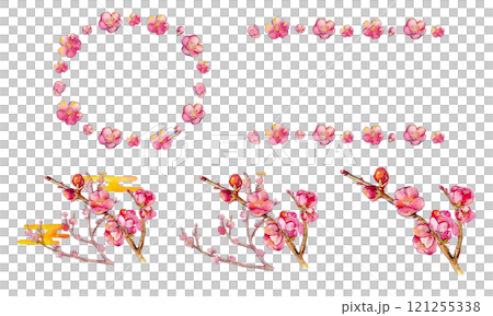 Watercolor plum blossom frame 121255338