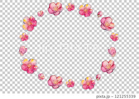 Watercolor plum blossom frame material 121255339