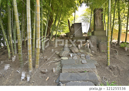 倉賀野宿散歩:安楽寺古墳 高崎市倉賀野町 倉賀野宿散歩:安楽寺古墳 高崎市倉賀野町 121255536