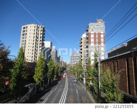 向丘一丁目付近 121255855