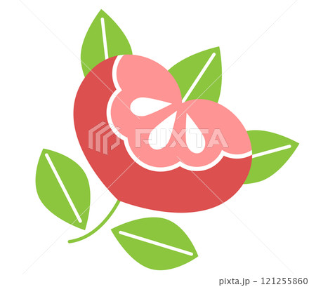 ピンクの橘のイラスト 121255860