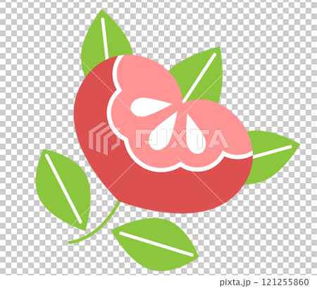 ピンクの橘のイラスト 121255860