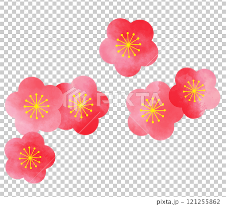 水彩畫梅花插圖 水彩畫梅花插圖 121255862