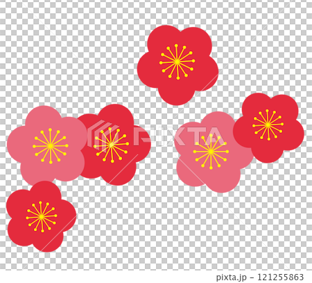 シンプルな梅の花のイラスト 121255863