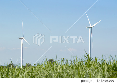 Landscape photography of the electric generator windmills in rural area. Sustainable and clean energy concept. Landscape photography of the electric generator windmills in rural area. Sustainable and clean energy concept. 121256399