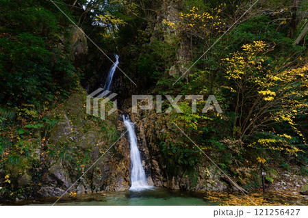 渓谷の晩秋風景 121256427
