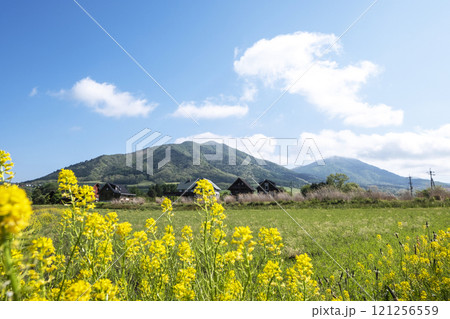 新緑・初夏のサイクリングイメージ (蒜山高原) 新緑・初夏のサイクリングイメージ (蒜山高原) 121256559