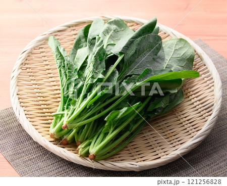 笊にのせた鮮度抜群のほうれん草 笊にのせた鮮度抜群のほうれん草 121256828