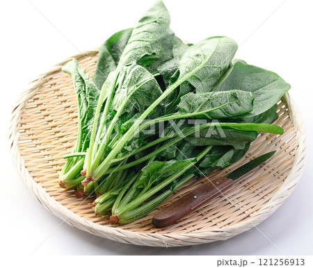 笊にのせたほうれん草（ 白背景 ） 121256913