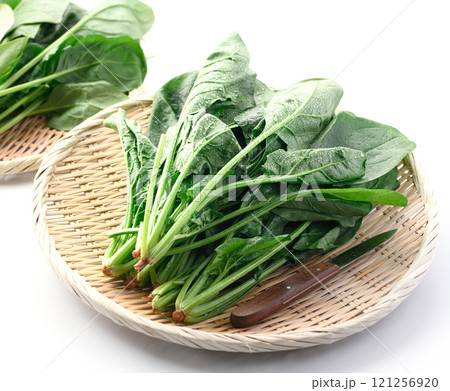 笊にのせたほうれん草（ 白背景 ） 121256920