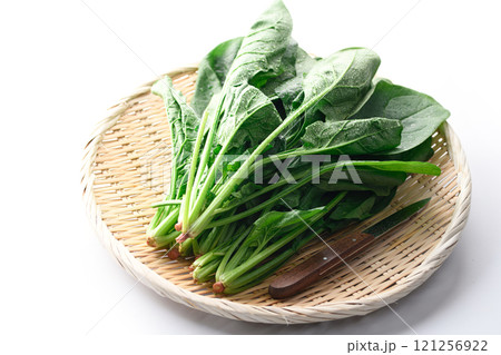 笊にのせたほうれん草（ 白背景 ） 121256922
