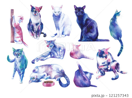 A large collection of watercolor stray catsのイラスト素材