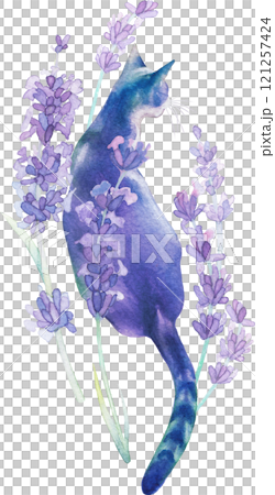 A turquoise and purple watercolor stray cat in lavender flowers 121257424