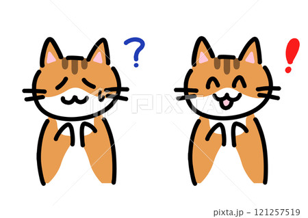 困っている猫と解決した猫のイラストセット 121257519
