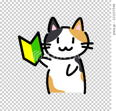 初心者マークを持っている手書きの猫のイラスト 初心者マークを持っている手書きの猫のイラスト 121257546