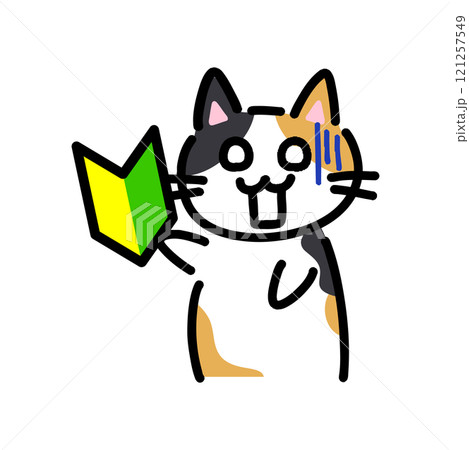 初心者マークを持ってショックを受けている手書きの猫のイラスト 初心者マークを持ってショックを受けている手書きの猫のイラスト 121257549