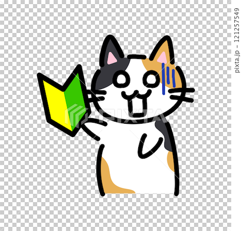 初心者マークを持ってショックを受けている手書きの猫のイラスト 初心者マークを持ってショックを受けている手書きの猫のイラスト 121257549