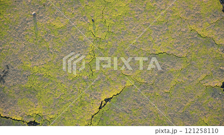 黄色く塗られた地面 121258110