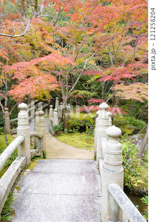 神戸市須磨区にある神戸迎賓館・旧西尾邸の紅葉のきれいな庭園 121258204
