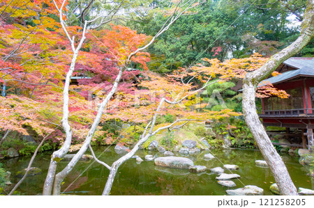 神戸市須磨区にある神戸迎賓館・旧西尾邸の紅葉のきれいな庭園 121258205