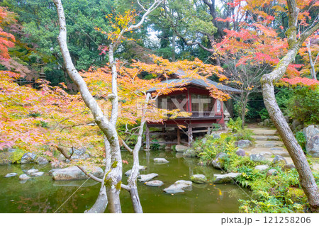 神戸市須磨区にある神戸迎賓館・旧西尾邸の紅葉のきれいな庭園 121258206