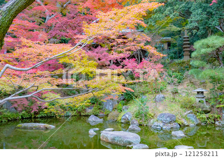 神戸市須磨区にある神戸迎賓館・旧西尾邸の紅葉のきれいな庭園 121258211