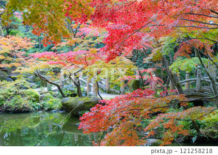 神戸市須磨区にある神戸迎賓館・旧西尾邸の紅葉のきれいな庭園 121258218