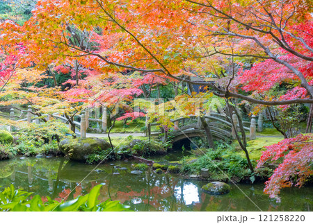 神戸市須磨区にある神戸迎賓館・旧西尾邸の紅葉のきれいな庭園 121258220