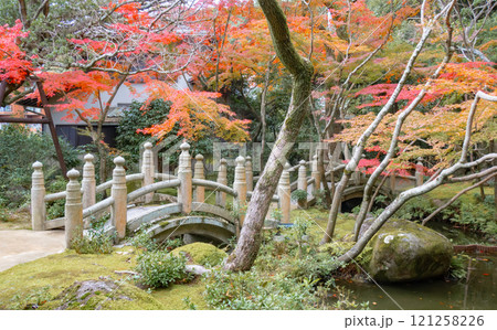 神戸市須磨区にある神戸迎賓館・旧西尾邸の紅葉のきれいな庭園 121258226