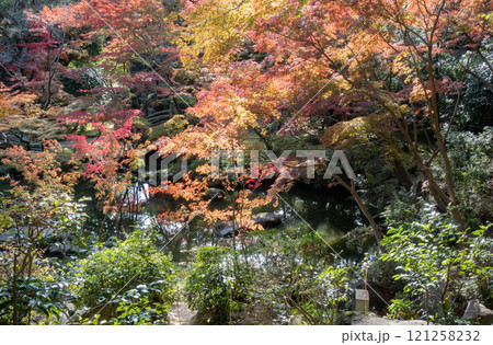 神戸市須磨区にある神戸迎賓館・旧西尾邸の紅葉のきれいな庭園 121258232