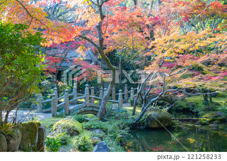 神戸市須磨区にある神戸迎賓館・旧西尾邸の紅葉のきれいな庭園 121258233