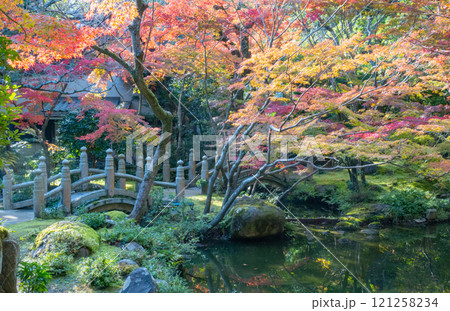 神戸市須磨区にある神戸迎賓館・旧西尾邸の紅葉のきれいな庭園 121258234