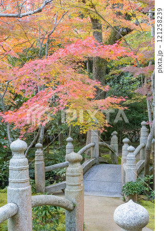 神戸市須磨区にある神戸迎賓館・旧西尾邸の紅葉のきれいな庭園 神戸市須磨区にある神戸迎賓館・旧西尾邸の紅葉のきれいな庭園 121258239