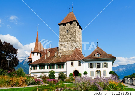 Imposing Schloss Spiez with stunning mountain backdrop and lush gardens 121258352